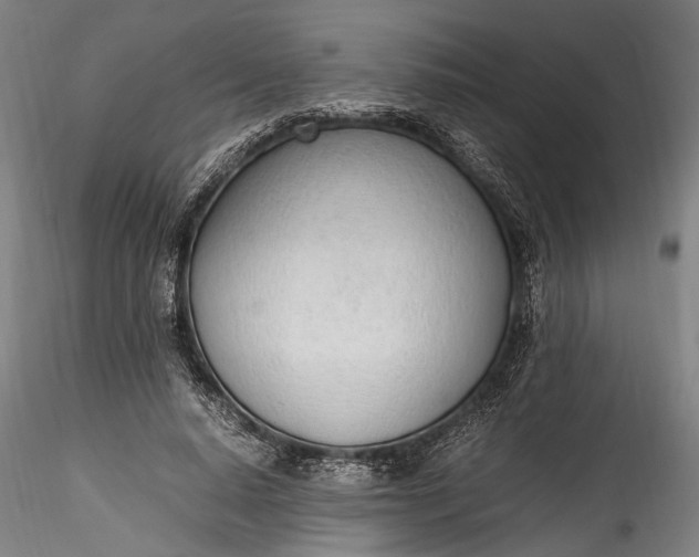 X0000115760640200911271118