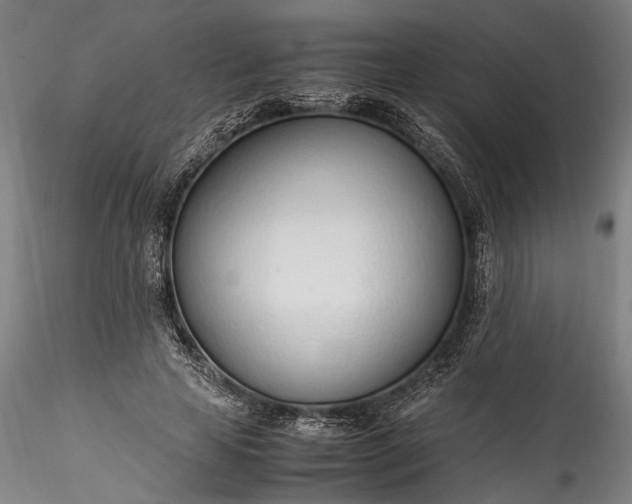 X0000115760641200911271118