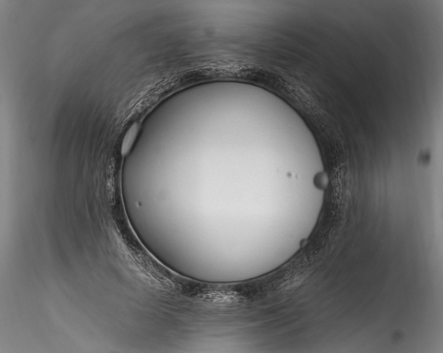 X0000115760642200911271118