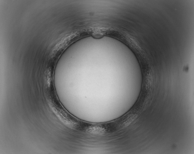 X0000115760644200911271118