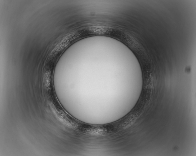 X0000115760646200911271118