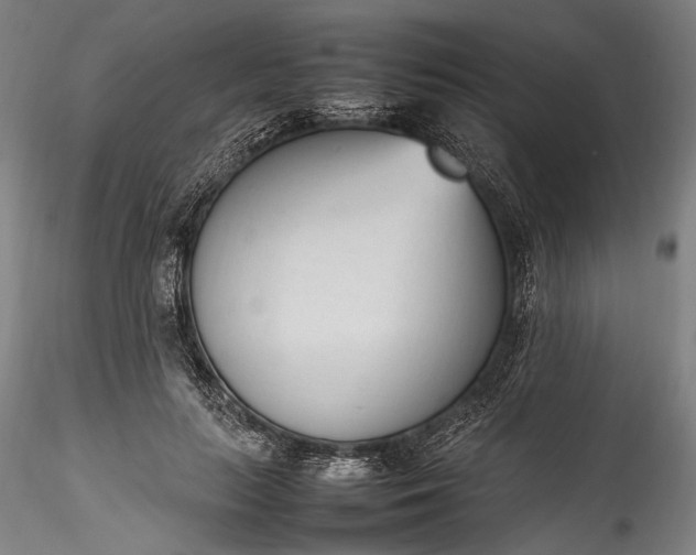 X0000115760647200911271118