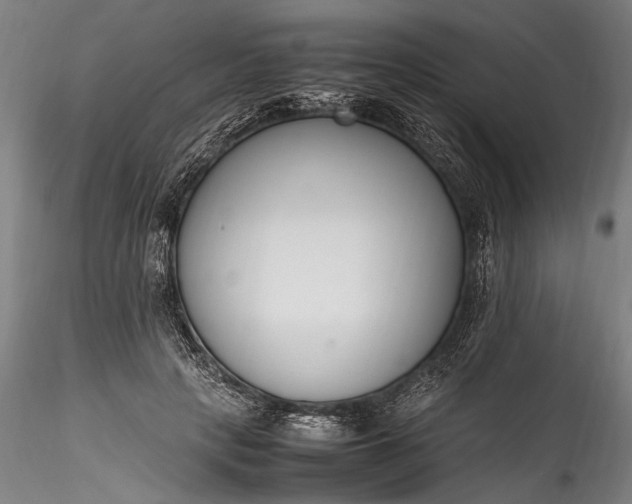 X0000115760649200911271118