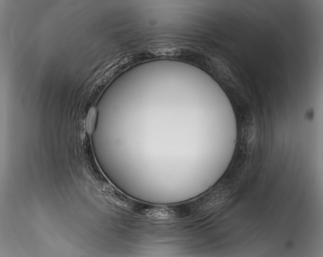 X0000115760652200911271118