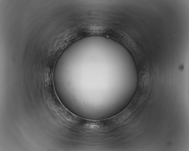 X0000115760655200911271118