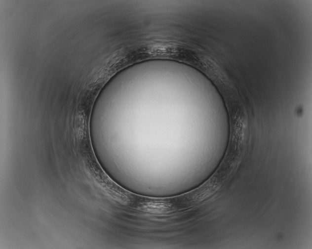 X0000115760659200911271118