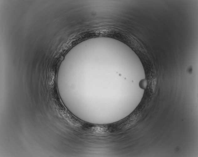 X0000115760660200911271118