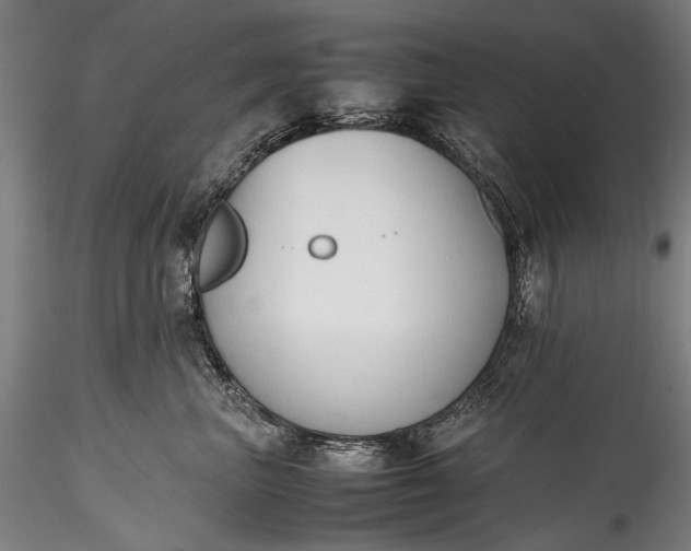 X0000115760667200911271118