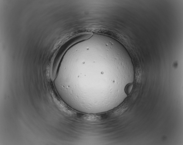 X0000115760670200911271118