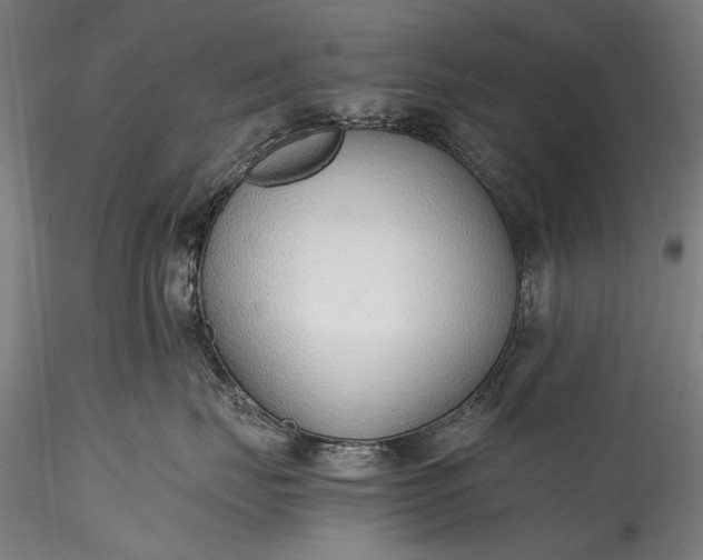 X0000115760671200911271118