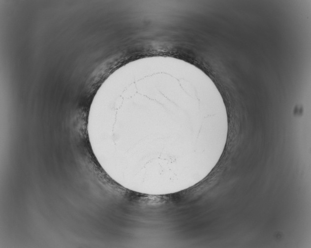 X0000115760672200911271118