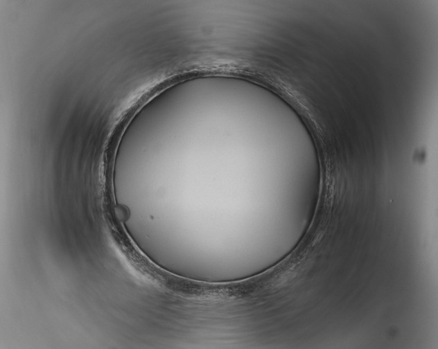 X0000115760674200911271117