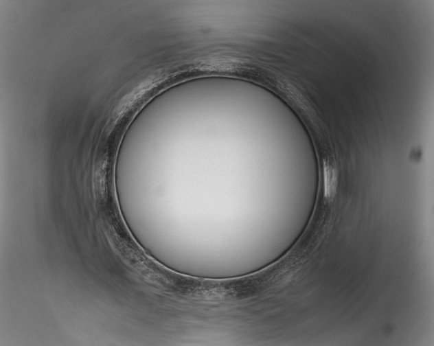 X0000115760675200911271117