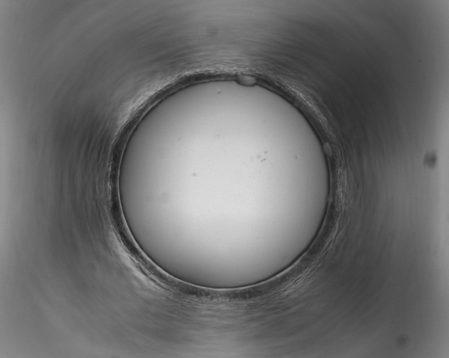 X0000115760677200911271117