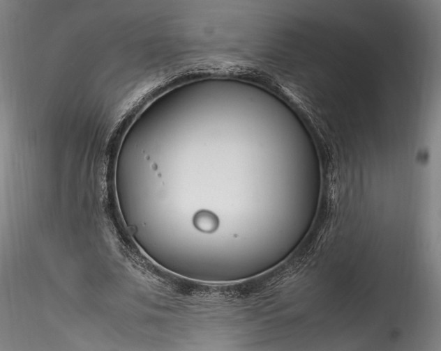 X0000115760679200911271117