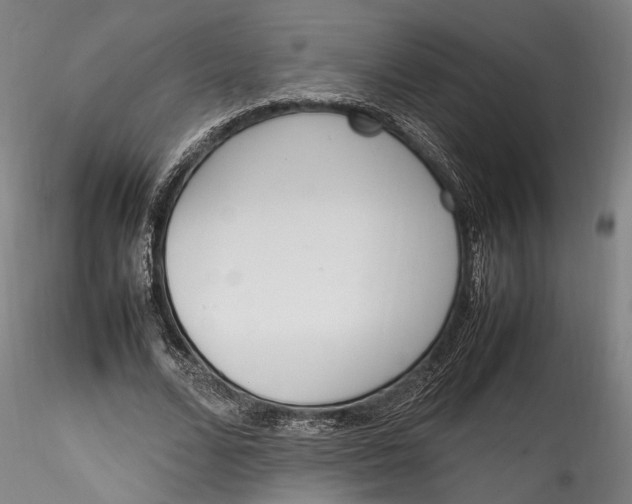 X0000115760680200911271117