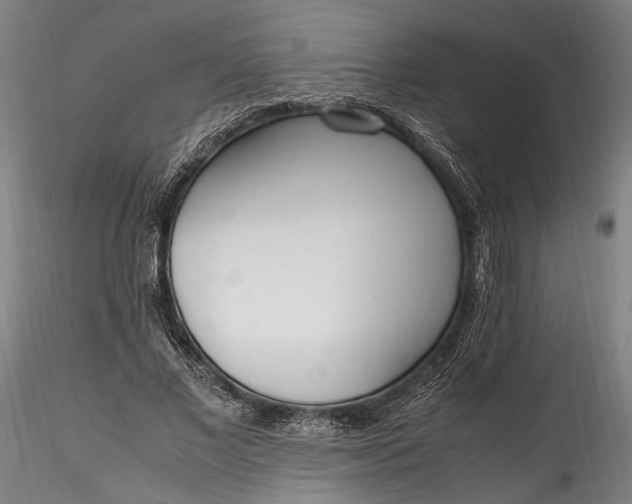 X0000115760685200911271117