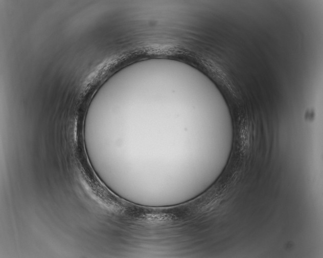 X0000115760686200911271117