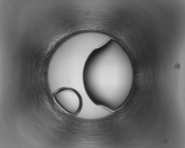 X0000115760688200911271117