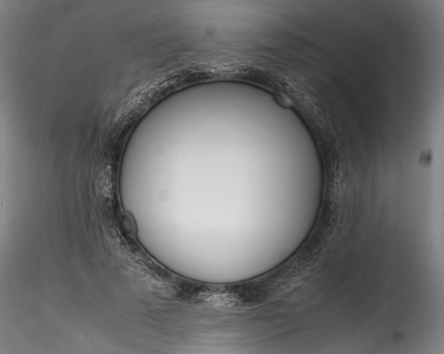 X0000115760689200911271117