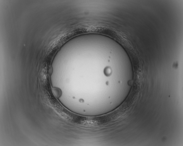 X0000115760691200911271117