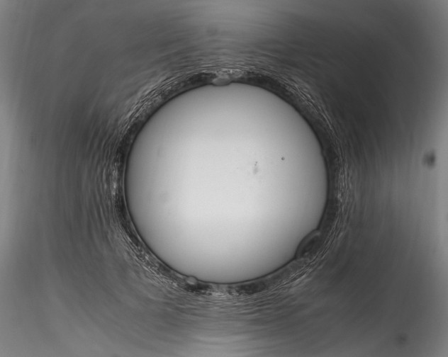 X0000115760697200911271117