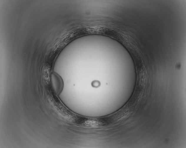 X0000115760699200911271117