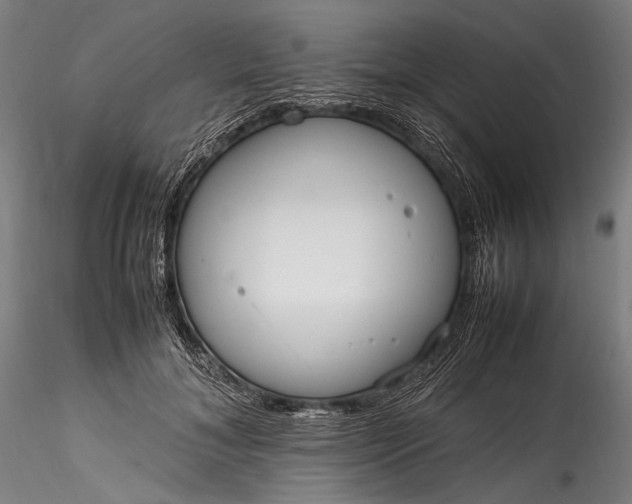 X0000115760700200911271117