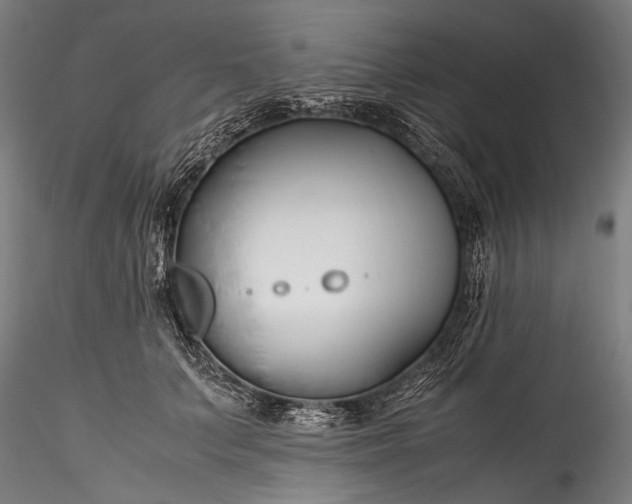 X0000115760703200911271117