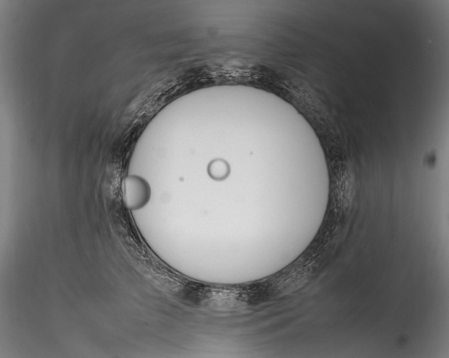 X0000115760709200911271117