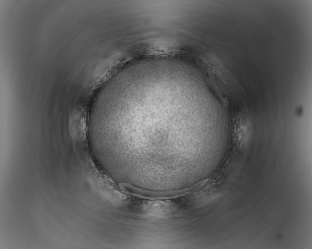 X0000115760716200911271117