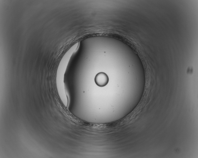 X0000115760720200911271117