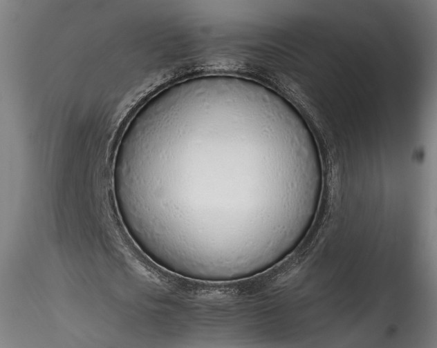 X0000115760721200911271116