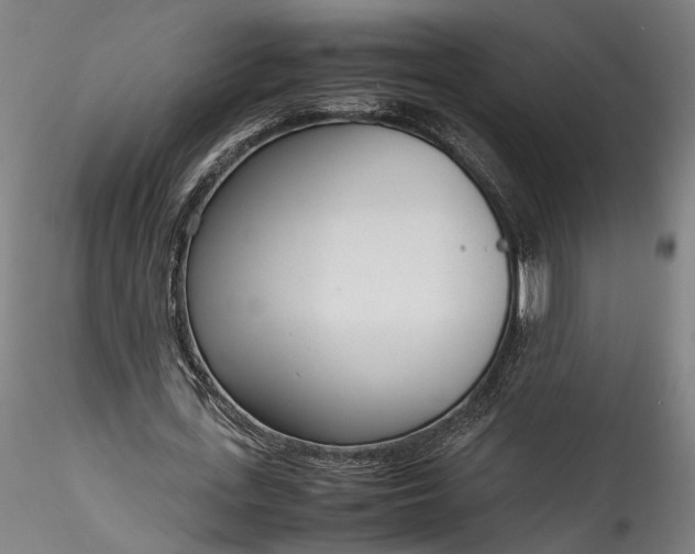 X0000115760723200911271116