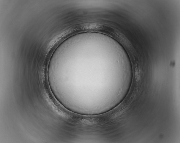 X0000115760725200911271116