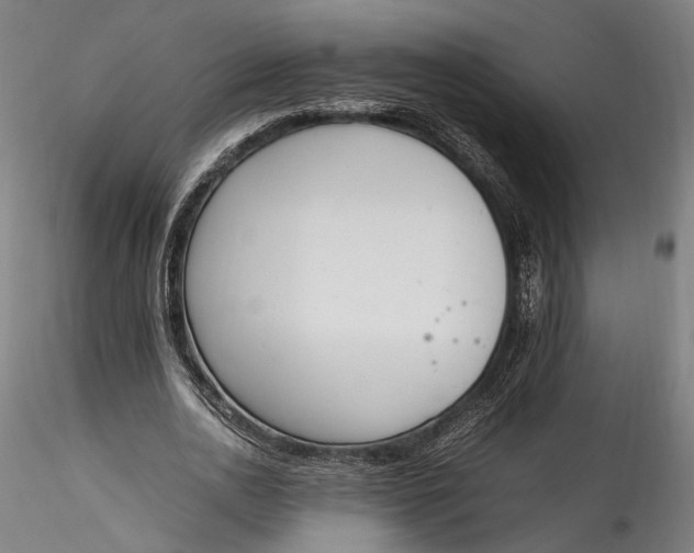 X0000115760726200911271116