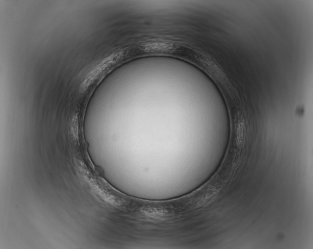 X0000115760729200911271116