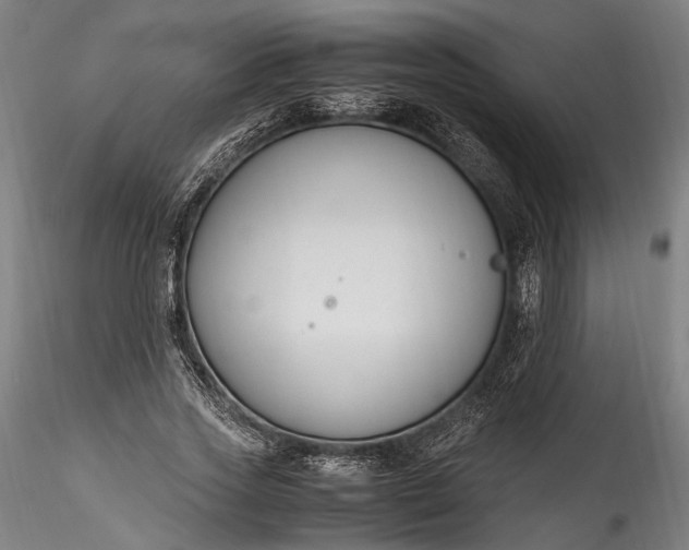 X0000115760733200911271116