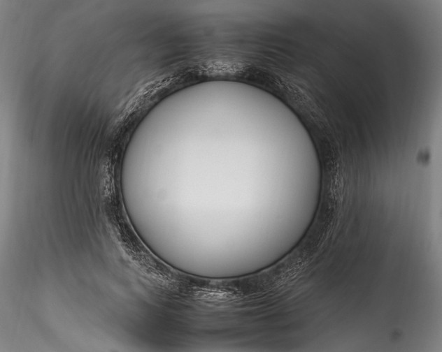 X0000115760743200911271116