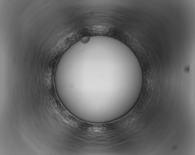 X0000115760745200911271116