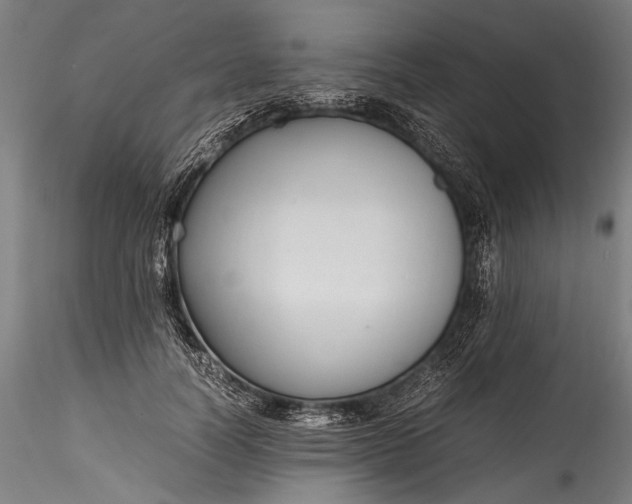 X0000115760746200911271116