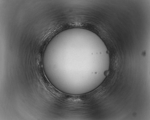 X0000115760747200911271116