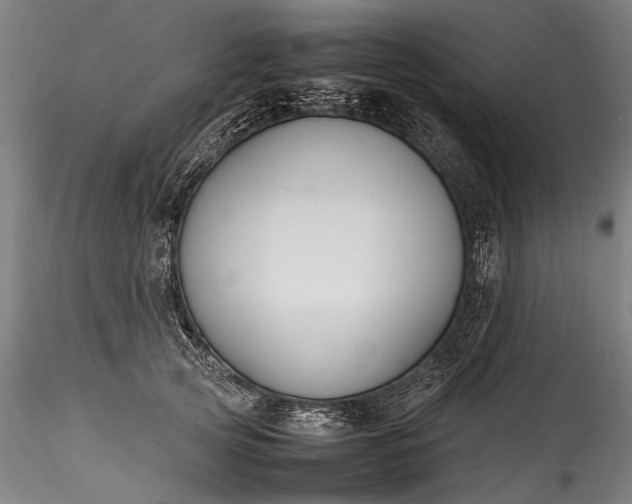 X0000115760753200911271116