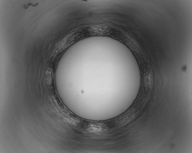 X0000115760757200911271116