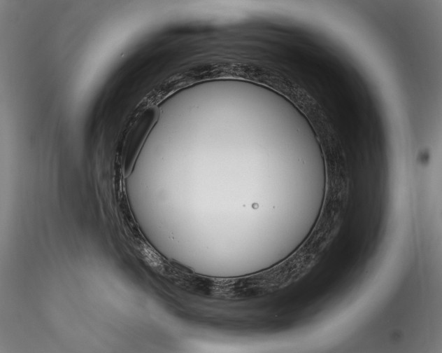 X0000115760766200911271116