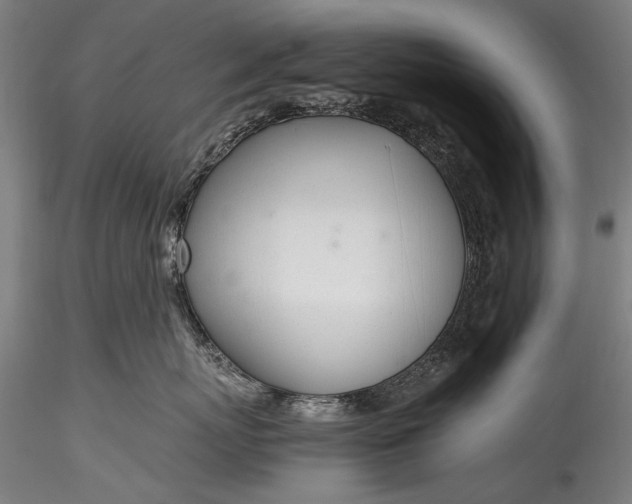 X0000115760767200911271116