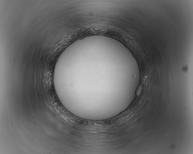 X0000115760772200911271116