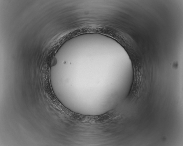 X0000115760773200911271116