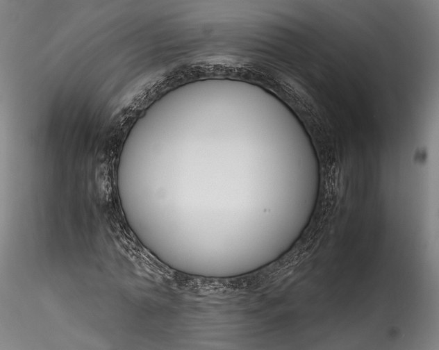 X0000115760774200911271116