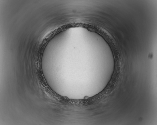 X0000115760775200911271116